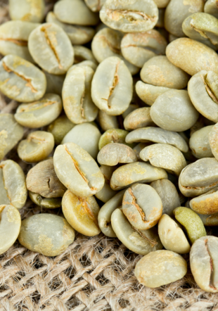 Arabica green coffee beans