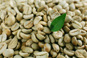 Cà phê nhân xanh Robusta