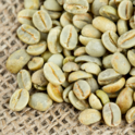 Cà phê nhân xanh Arabica